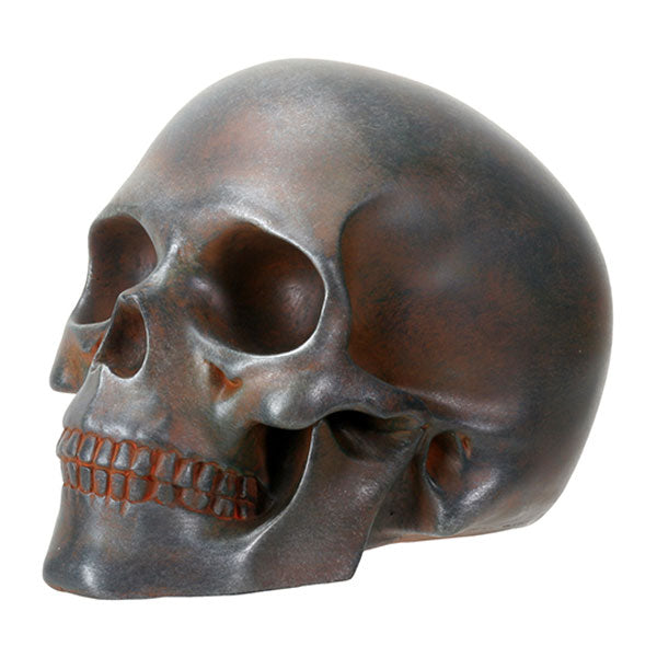 Rusted Skull