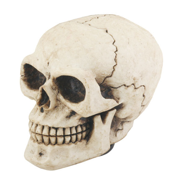 Skull Shift Knob