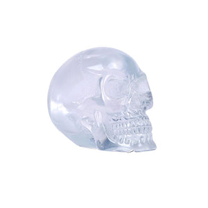 Tiny Clear Translucent Skull
